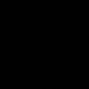 Meet your Posher, Gladys